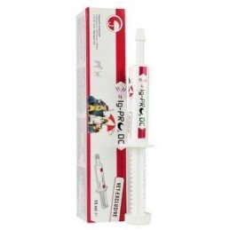 IG-PRO DC pasta 15ml
