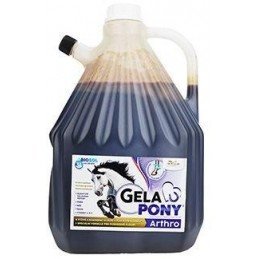 Gelapony Arthro Biosol 3000ml