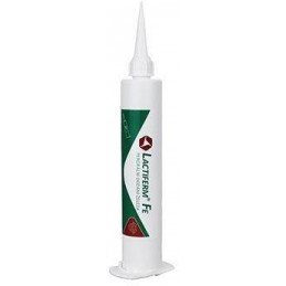 Lactiferm Fe pasta 80ml