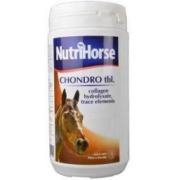 Nutri Horse Chondro pro koně tbl 1kg