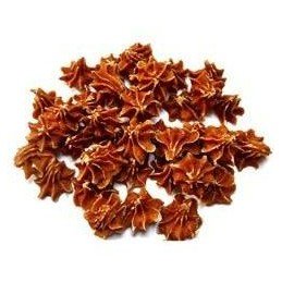 Menforsan Obojek proti klíšť/blechám repelentní kočka