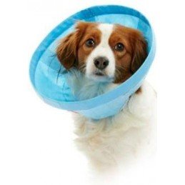 Hill's Fel. PD Z/D Dry 1,5kg NEW