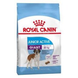 Royal Canin Giant Junior Active 15kg