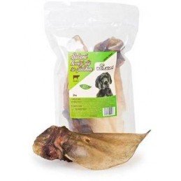 Obojek pryžový EVOLUTION C16/32cm oranžový FP