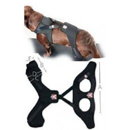 FRONTLINE COMBO spot-on pro psy L (20-40kg)-3x2,68ml