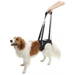 Beaphar Šampon Cat Immo Shield antiparazitární 200ml