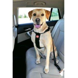 Krmivo pro ryby Prodac Nutron Tablet 100ml 60g