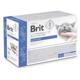Brit VD Cat Pouch fillets in Gravy Recovery 12x85g