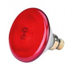 Avicentra Nature Premium činčila+osmák 850g