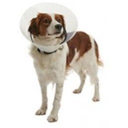 Aquavit D3 sol auv 50ml