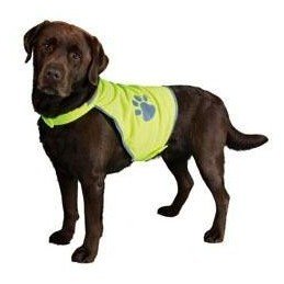 Roboran pro morčata 60g