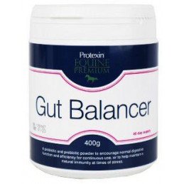 Protexin Gut Balancer pro koně 400g