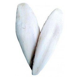 Kost sépiová 20cm (+/-3cm) 10ks