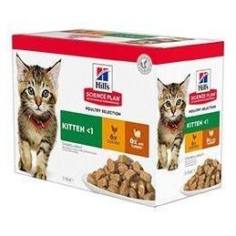 Hill's Fel. SP Kitten Chicken&Turkey Kapsa12x85g