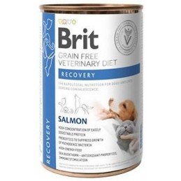 Brit VD Dog+Cat GF konz. Recovery 400g