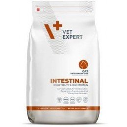 VetExpert VD 4T Intestinal Cat 250g