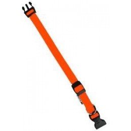 Obojek nylon CLUB C 56cmx20mm oranžový FP 1ks