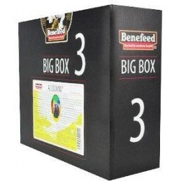 Acidomid H holubi BigBox 3l