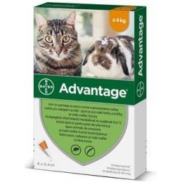 Advantage pro malé kočky a králíky 40mg 4x0,4ml