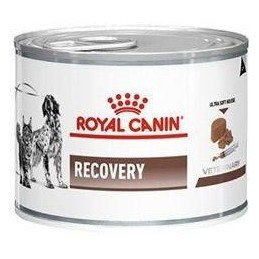 Royal Canin VD Fel / Can Recovery 195g konz