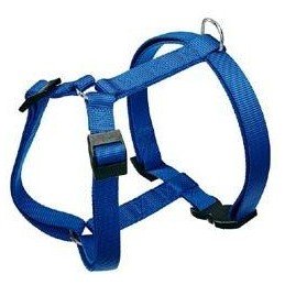 Postroj CHAMPION P  L modrý FP 1ks