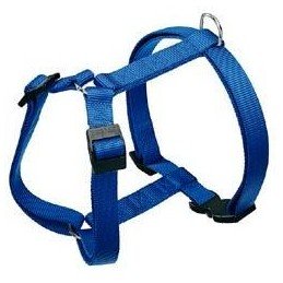 Postroj CHAMPION P  M modrá FP 1ks