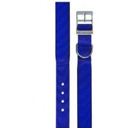 Obojek nylon DAYTONA C 45cmx25mm modrý FP 1ks