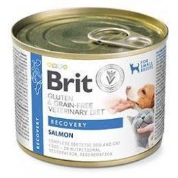 Brit VD Dog+Cat GF konz Recovery 200g