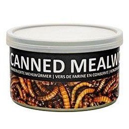 UGF moučný červ konzerva 35g