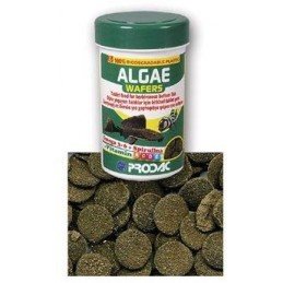 Krmivo pro ryby Prodac Algae Wafers 50g
