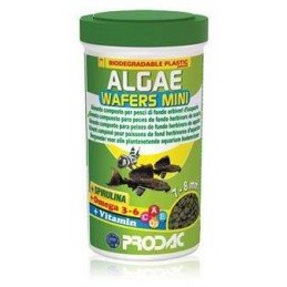 Krmivo pro ryby Prodac Algae Wafers Mini 50g