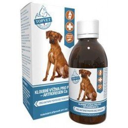 Kloubní výživa sirup pro psy TOPVET 200ml