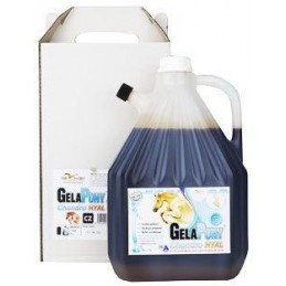 Gelapony Chondro Biosol HYAL 3000ml
