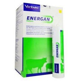 Energan Ketose 12x300g