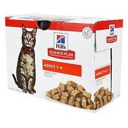 Hill's Fel. SP Adult Chicken kapsa 12x85kg