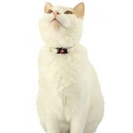 Obojek kočka CHATOUILLE s motýlkem béžová Zolux