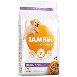 Iams Dog Puppy Large Chicken 3kg