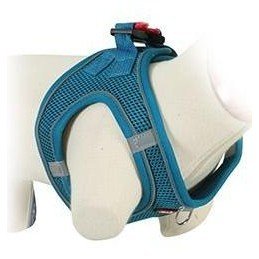 Postroj pes Síťový tyrkysová XL Zolux