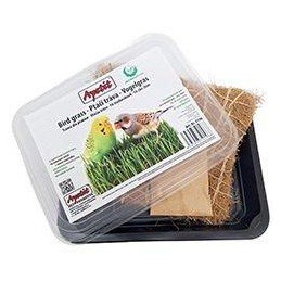 Apetit ptačí tráva, pěstební miska, kokos.rohož 30g