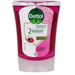 Dettol náhradní náplň Lesní ovoce 250ml