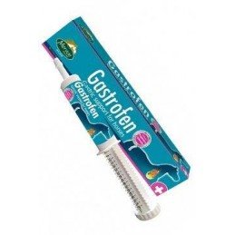 MERVUE GASTROFEN - pasta 80ml