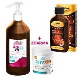 VITAR ArtiVit Sirup 1000ml+DentON100+losos olej 200ml